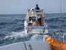 020602No1248